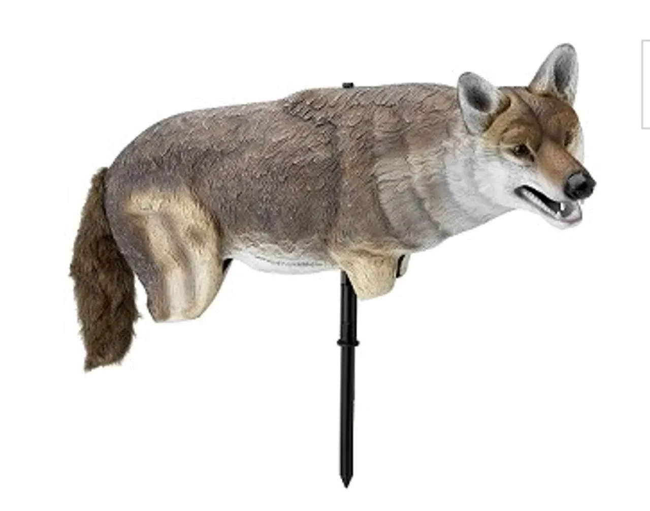 Edge by Expedite Yote Coyote Decoy