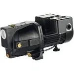 LEO 1/2 HP Dual Voltage Durable Cast Iron Shallow Well Jet Pump