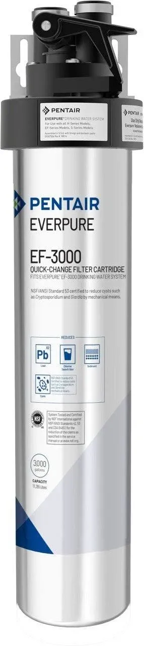 Everpure EV9693-16 4FC-LS Filter Cartridge, Silver