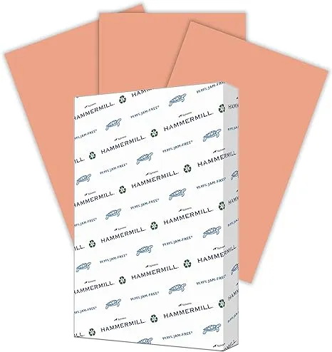 Hammermill Colored Paper, 20 lb Salmon Printer Paper, 11 x 17-1 Ream (500 Sheets) - Made in the USA, Pastel Paper, 102103R