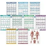 10 Pack Exercise Workout Poster Set - Dumbbell Kettlebell, Resistance Bands Yoga