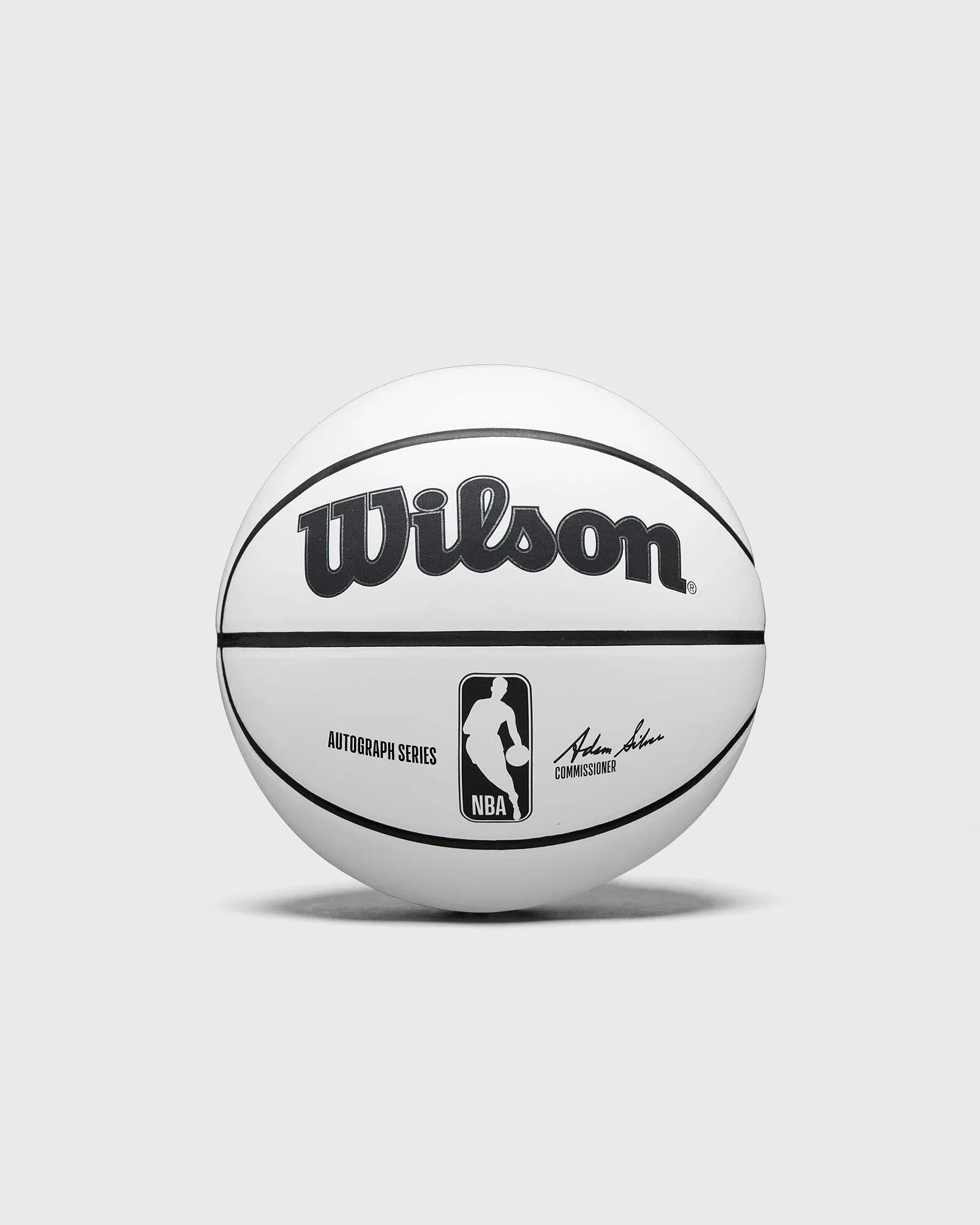 WILSON NBA Alliance Series Basketballs - Size 7 and Mini Size