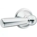 Moen Sage DN6801CH Tank Lever