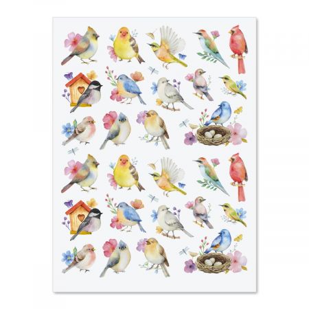 Watercolor Birds Stickers | Current Catalog