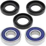 All Balls Racing 25-1211 Wheel Bearing Kit Front Compatible with/Replacement For Honda ATC110 1979-1981, Suzuki AN650 Burgman 2003-2017, DL650 2004-2011, DL650 ABS 2012-2021, DL650 XT ABS 2017-2021