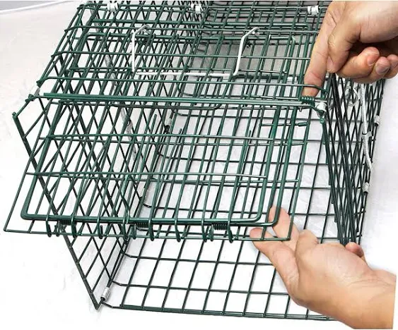 OxGord Live Animal Trap 32" x 12" x 12" Catch Release Humane Rodent Cage for