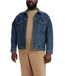 Trucker Jacket (tall)