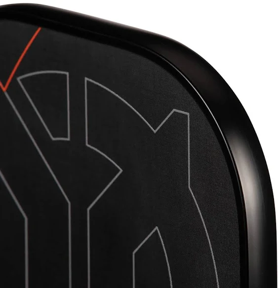 ONIX Evoke Premier Pro Raw Carbon Pickleball Paddle