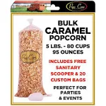 Gourmet Pops Corn BULK/WHOLESALE CARAMEL POPCORN- 5 GAL-80 CUPS-95 OZ- FREE SANITARY SCOOPER!!…