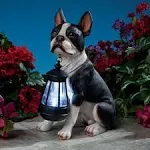 Boston Terrier Solar Lantern Statue - Yard Decorations - Solar