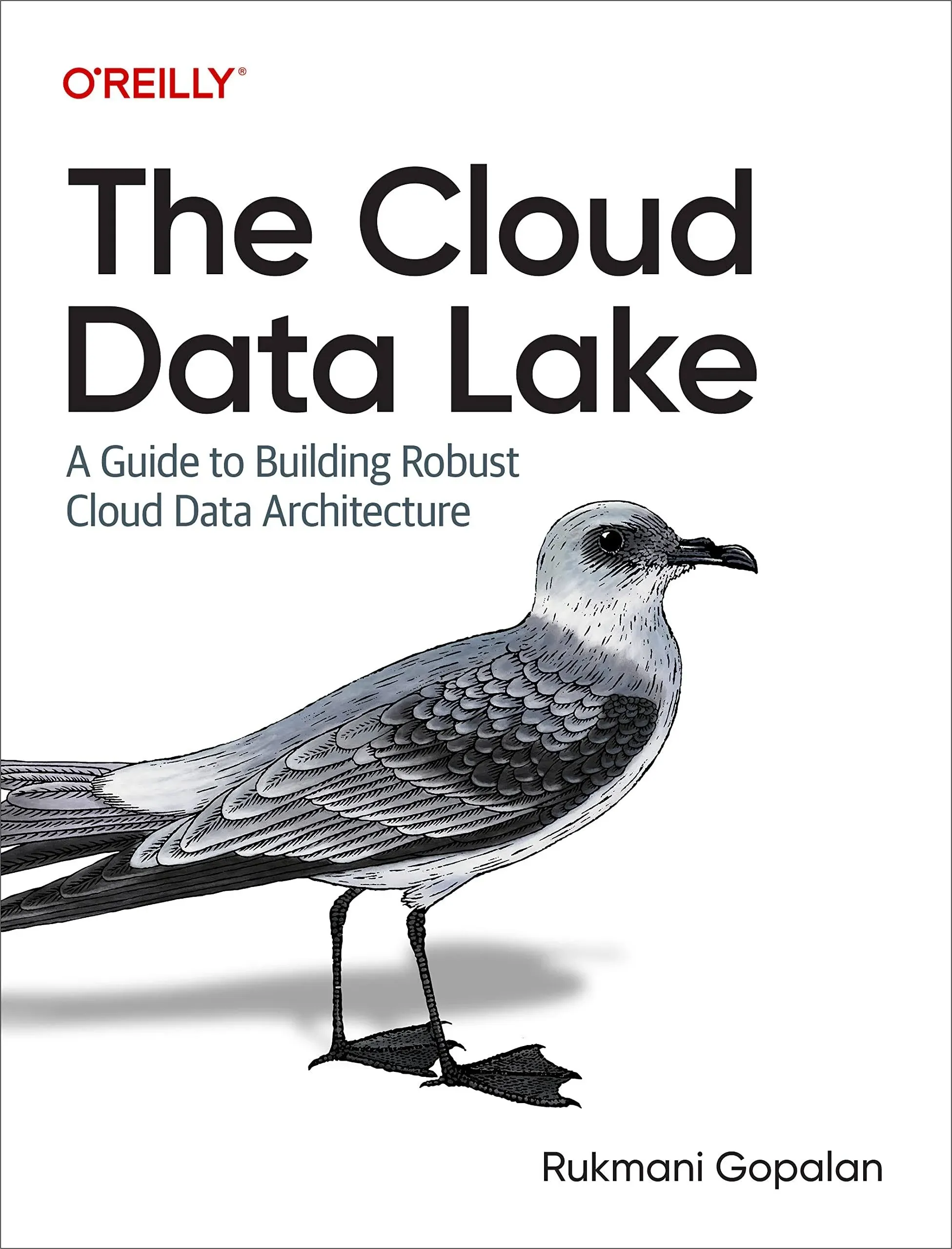 The Cloud Data Lake: A Guide to Building Robust Cloud Data Architecture: New