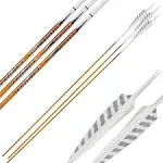 Easton Carbon Legacy Arrows 400 4 in. Feathers 6 pk.