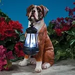 Realistic Boxer Dog Garden Sculpture with Solar LED Lantern Patio Lawn Art Decor