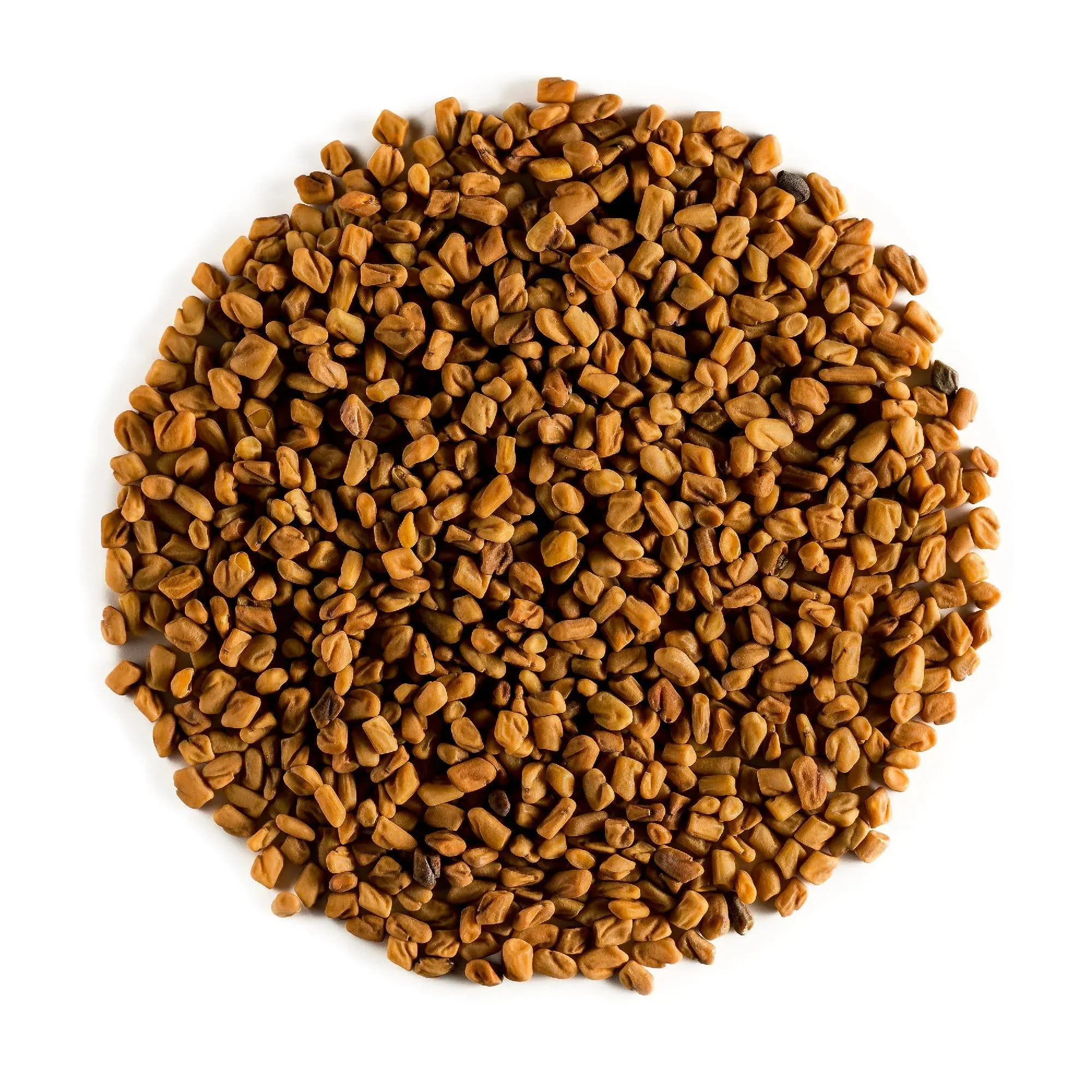 Fenugreek Seed Organic Quality Seeds - Culinairy Grade - Real Trigonella Foenum-graecum - Fenegreek Fenugreek Organic Fenugrec Seed Funegreek Seeds Fenugreekseed Seed Feenageek Fungreek