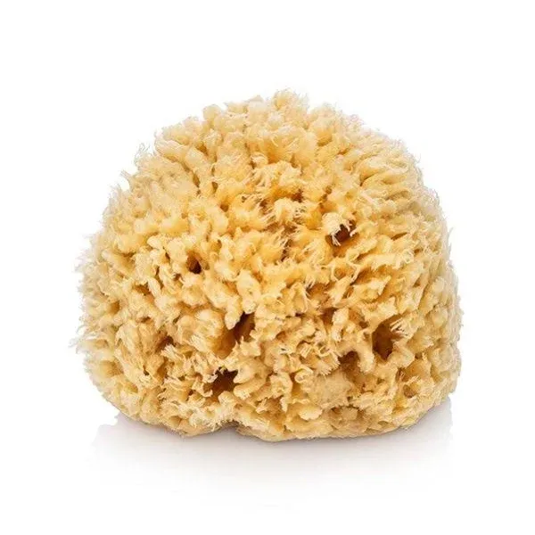 Sea Wool Natural Sponge