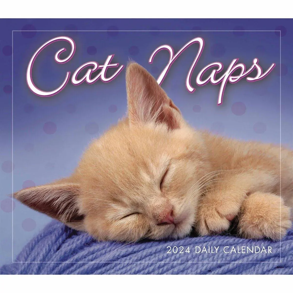 Sellers Publishing Cat Naps 2024 Desk Calendar Kittens Pet Lovers Birthday Gift