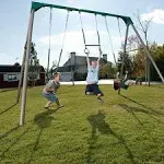 Lifetime Heavy Duty A-Frame Metal Swing Set