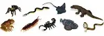 Safari Ltd Toobs Venomous Creatures Toys Assorted 9 pc