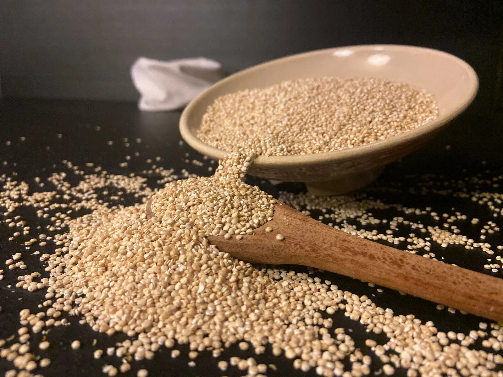 Toasted Organic Quinoa 20 Lbs. (2-10 Lb bags) Bulk Pricing