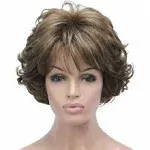 Aimole Short Curly Synthetic Wigs Full Capless Hair Women's Thick Wig for Everyday 12TT26 Brown Highlighted