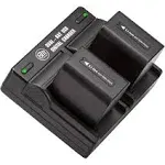 BM NP-FV70 2 Batteries &amp; Dual Charger for Sony HDR-PJ275 PJ340 PJ540 PJ670 PJ810