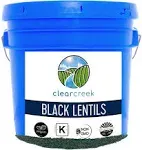 Beluga Lentils | 25 LBS | Emergency Food Storage Bucket | Non-GMO | Vegan | Bulk