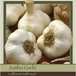 Garlic - California Softneck | 3 Bulbs