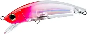 Yo Zuri Duel 3D Inshore Minnow 110 Floating Lure R1213-C5 (7432)