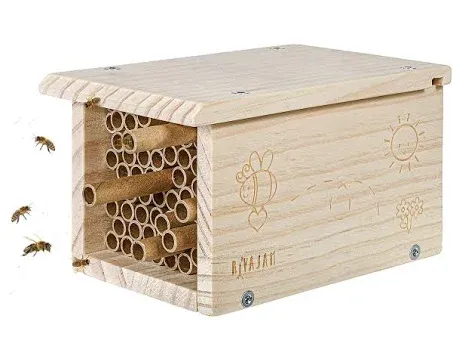 Rivajam Build a Bee House DIY Woodworking Project | Solitary Mason Bee