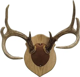 Walnut Hollow Antler Mounting Kit Solid Oak