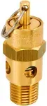 Control Devices SA25-1A275 SA Series Brass Hard Seat ASME Safety Valve 275 PSI Set Pressure 1/4 male NPT