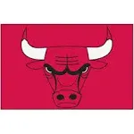 FANMATS Chicago Bulls Starter Mat