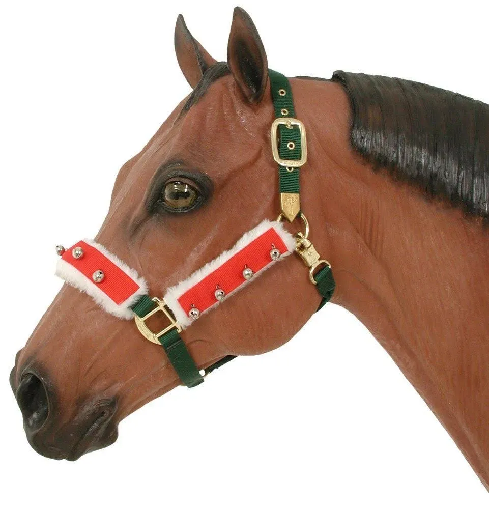 JT International Holiday Horse Halter Bridle Accessory Set