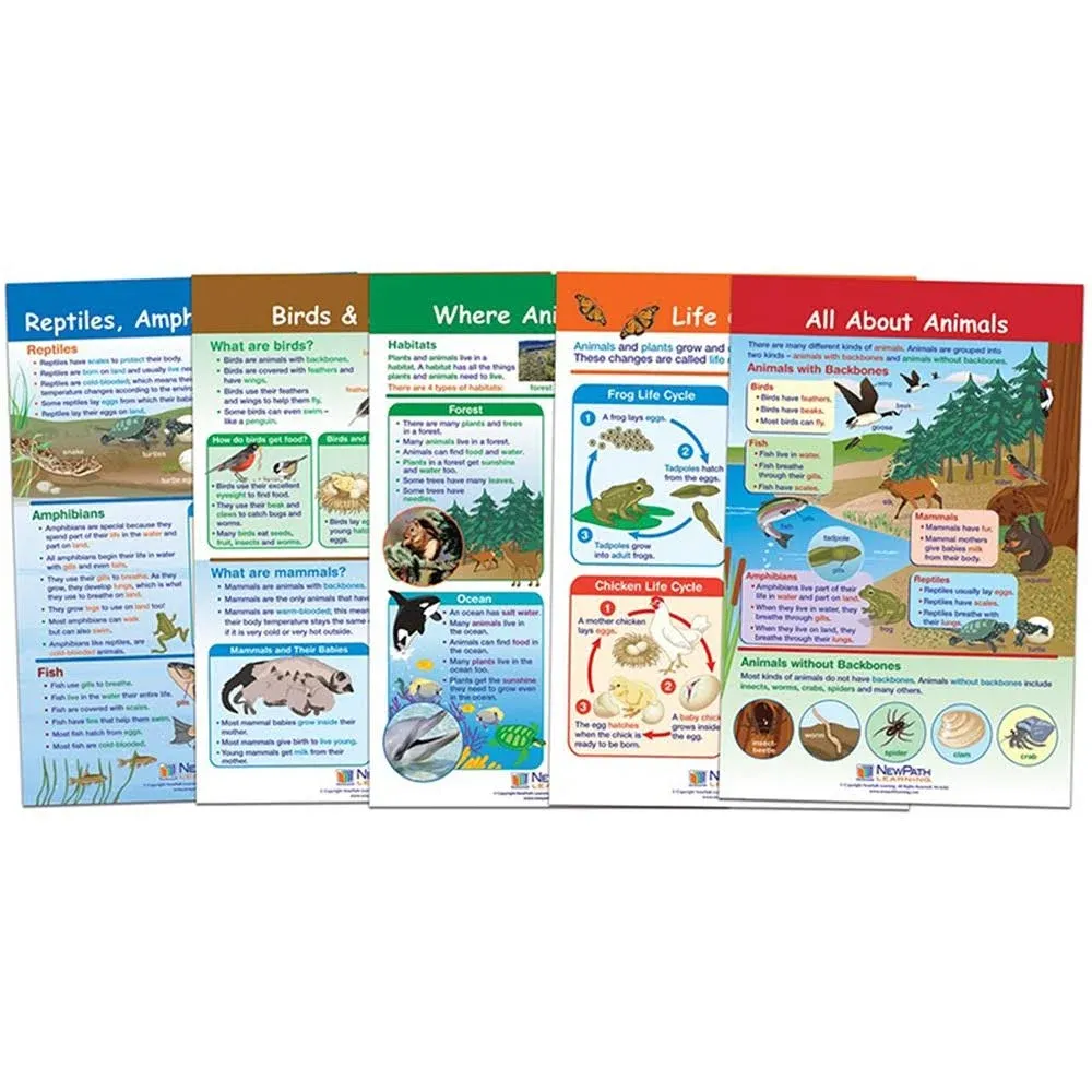 New Path Learning All About Animals Bulletin Board Chart Set of 5