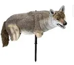 Lucky Duck Yote Coyote Decoy