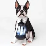 Boston Terrier Solar Lantern Statue - Yard Decorations - Solar Powered Garden La