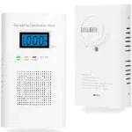 Combination Carbon Monoxide and Gas Detector