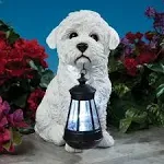 Realistic Bichon Dog Garden Sculpture Holding Solar Lighted Lantern