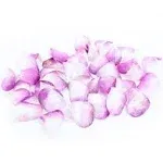 Crystal Candy Baby-Pink-&-White Edible Petals - Colorful Edible Flowers Petal for Cakes, Cupcakes, and Cake Decorations - Suitable for All Cakes and Baked Goods - 1 Jar of 6 Grams, 40 Petals