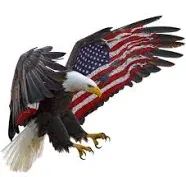 American Eagle American Flag v2 5" Decal Sticker