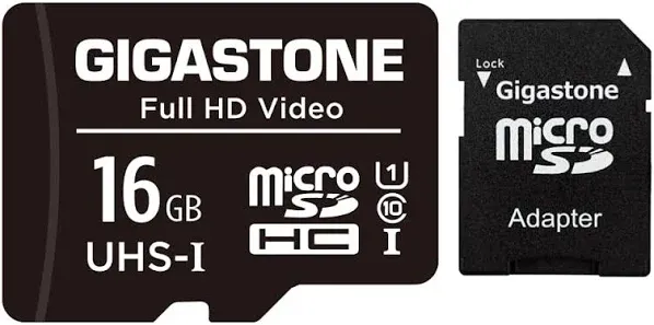 Gigastone Micro SD Card Video