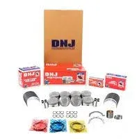 DNJ EK4173 Engine Rebuild Kit for 2004-2006 / Ford Lincoln/Expedition F-150