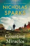 Counting Miracles: A Novel [Book]