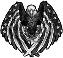 Bald Eagle American Flag Eagle Wings Black & White Decal from The United States (5" x 5")