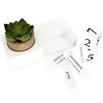 Rustic White Cubical Accessories for Work Succulent Calendar Decor Wooden Des...