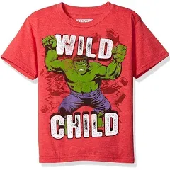 Marvel Little Boys' the Incredible Hulk T-Shirt