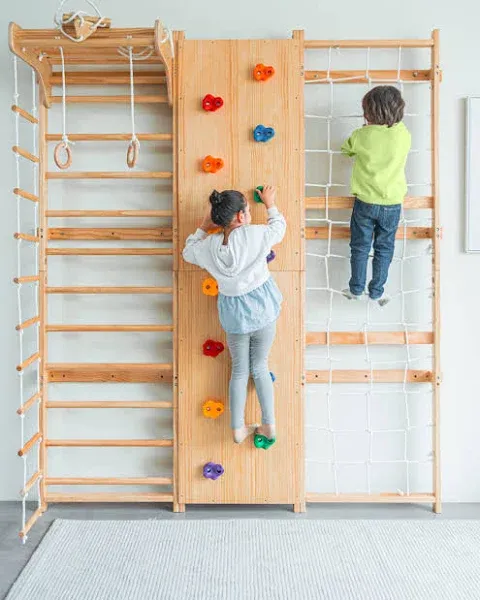 Avenlur 9-in-1 Swedish Ladder Wall Gym and Climber