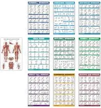 QuickFit Exercise Workout Poster Set