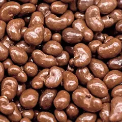 Funtasty Sugar Free Milk Chocolate Covered Cashews Keto Friendly 1 Pound Pack