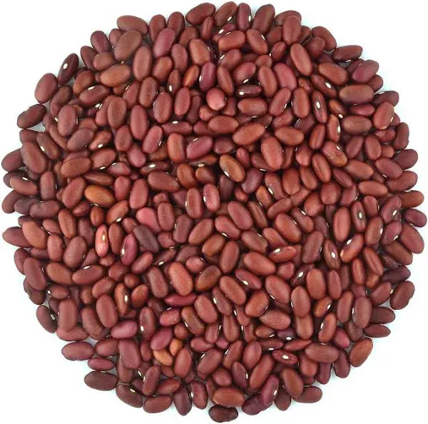 Bal Toro Organic Dark Red Kidney Beans